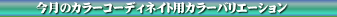 �����̃��K�l�t���[���J���[�R�[�f�B�l�C�g�p�J���[�o���G�[�V����